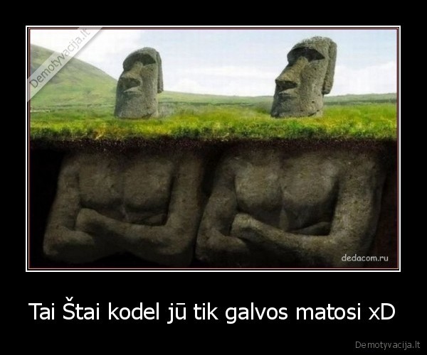 Tai Štai kodel jū tik galvos matosi xD