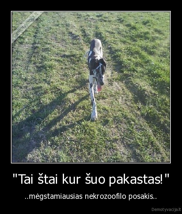 uo,nekroozofilas,posakis