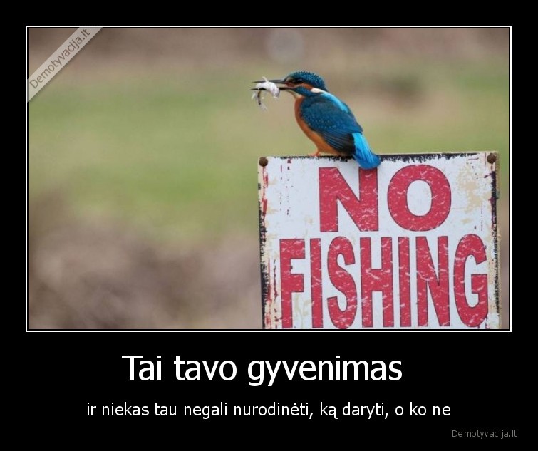 paukstelis,zuvis,zvejyba