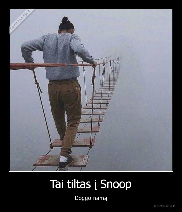 faktai,idomybes,tiltas,snoop, dog,namas