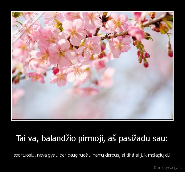 Tai va, balandžio pirmoji, aš pasižadu sau: