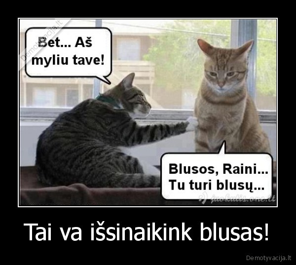 Tai va išsinaikink blusas!