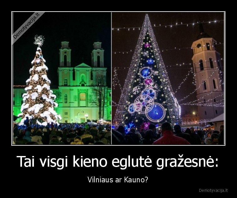 vilnius,kaunas,eglute,iziebimas