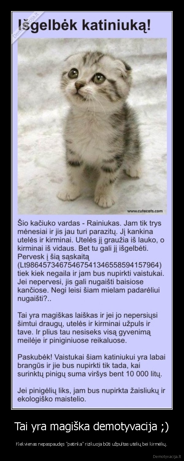 niekas, apie, nieka,isgelbek, katinuka