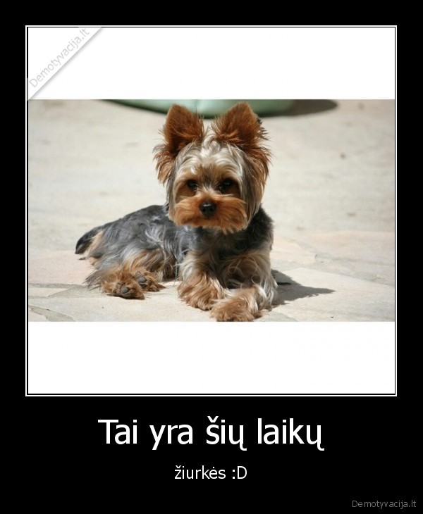 Tai yra šių laikų