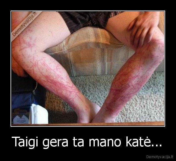 Taigi gera ta mano katė...