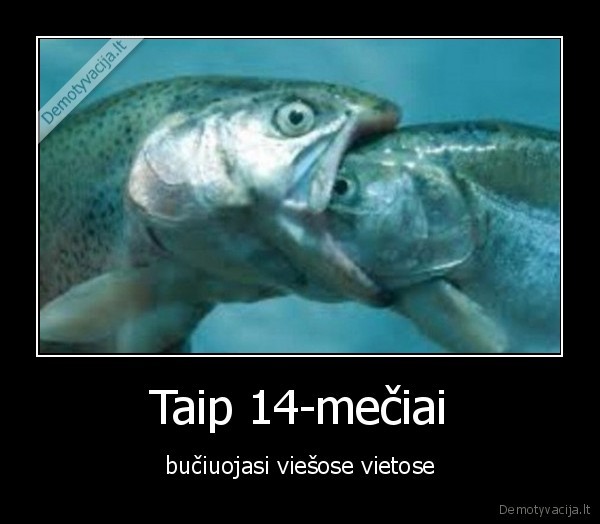 buciuotis,mazvaikiai