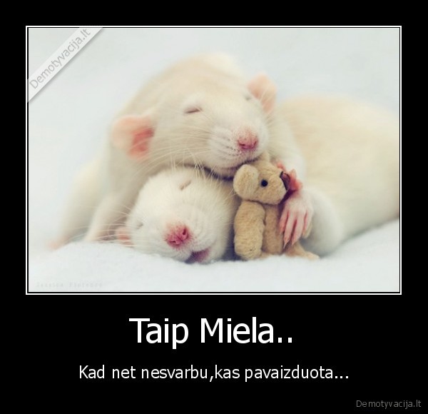 Taip Miela..