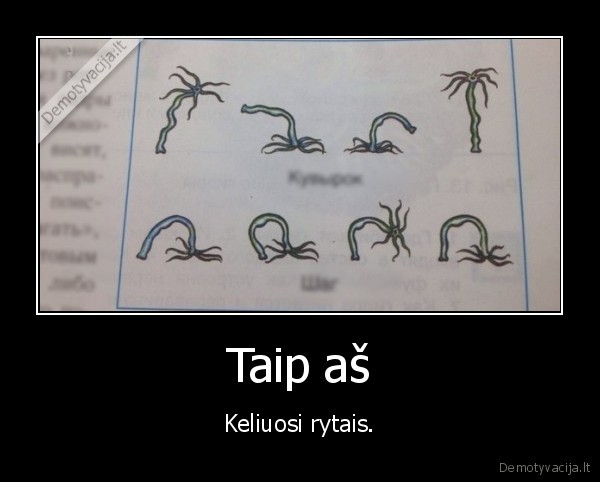 rytas,keltis