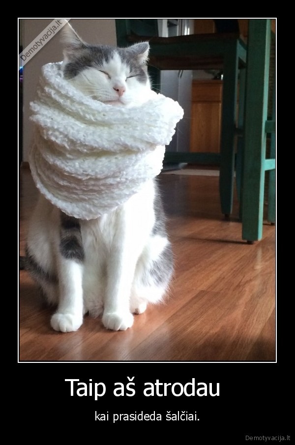 kates,kate,saltis,salta