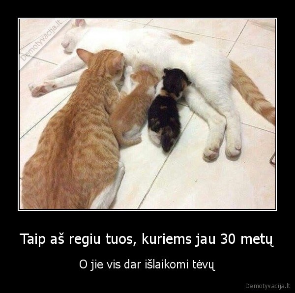 mama,mamyciukai,tevai