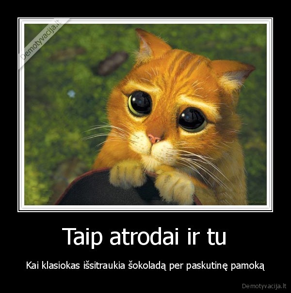 katinas,sokoladukas,pamoka