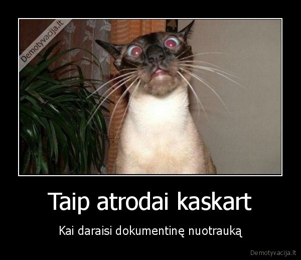 nuotrauka, dokumentas,juokingas, veidas