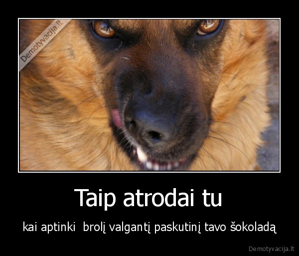 saldainiais, nesidalinu