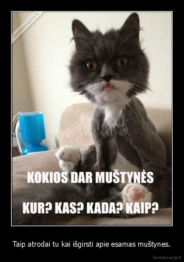 Taip atrodai tu kai išgirsti apie esamas muštynes.