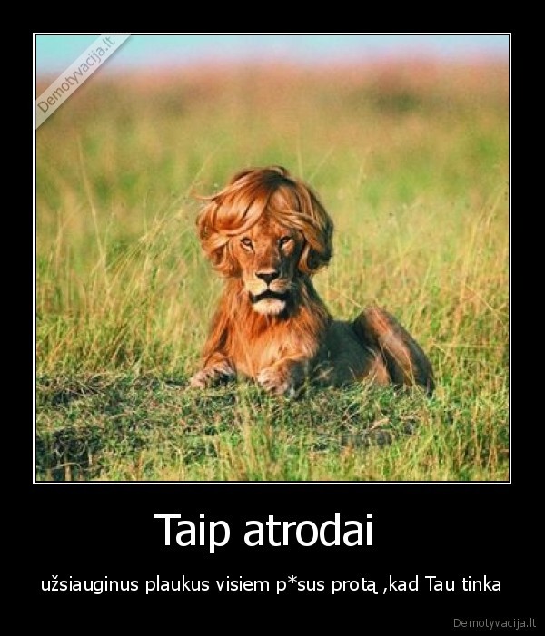 Taip atrodai 