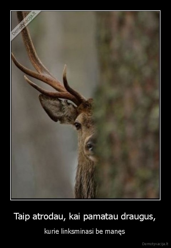 Taip atrodau, kai pamatau draugus,