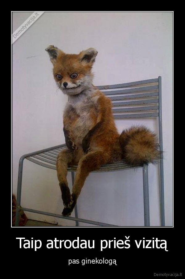 ginekologas,seksas,kraujas,kriminalai,csi,putukrapstals