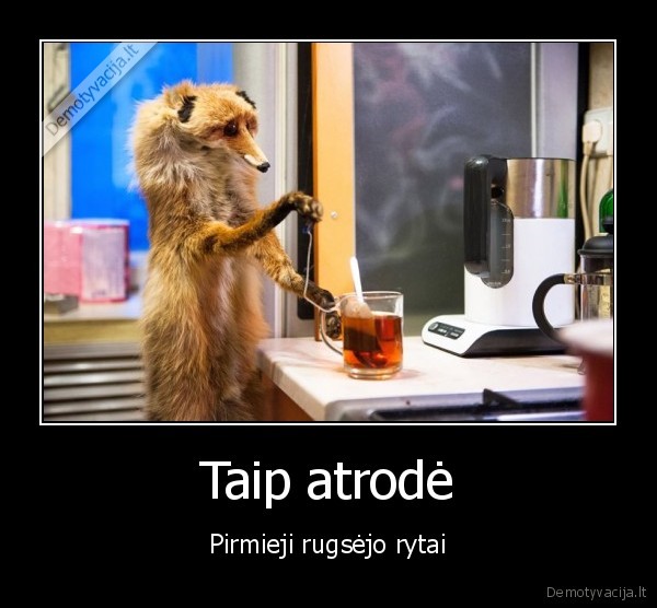 rytine, arbata,sunkus, rytas