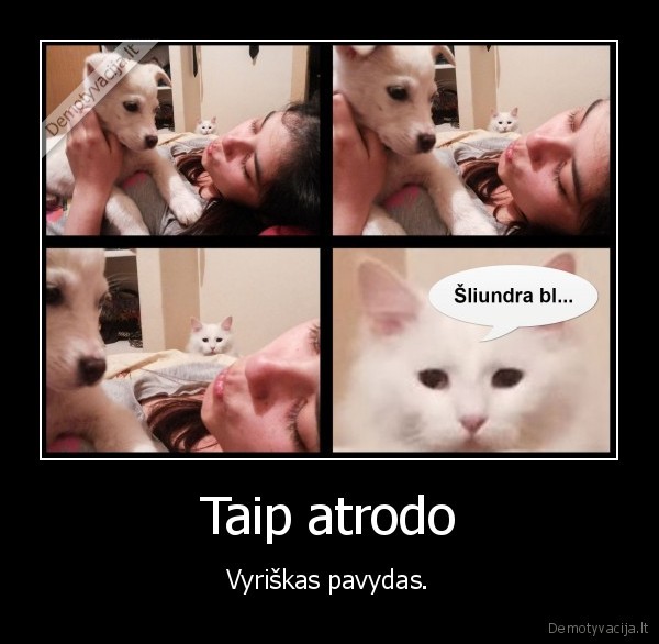 vyrai,pavydas,pavyduliauti