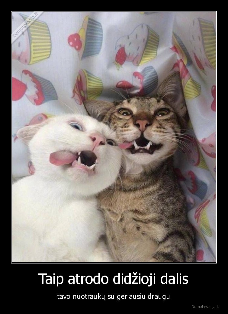 nuotraukos,geriausias,draugas,foto,fotosesija,selfiai,asmenukes