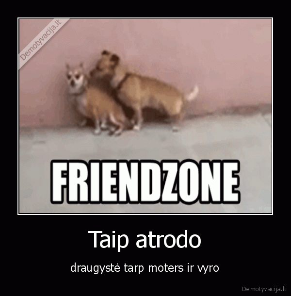 draugas,vyras,moteris