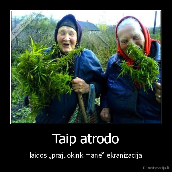 Taip atrodo