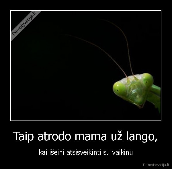 langas,mama,laukti,stebeti,sekti,atsisveikinti,atrodyti,zalias