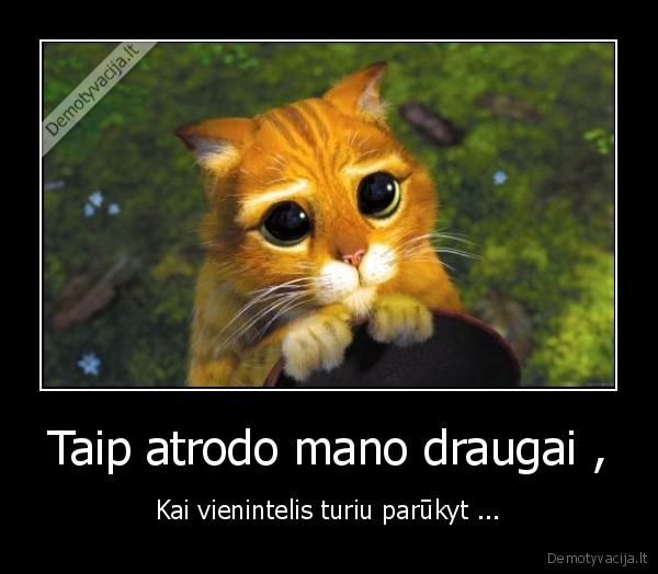 Taip atrodo mano draugai ,