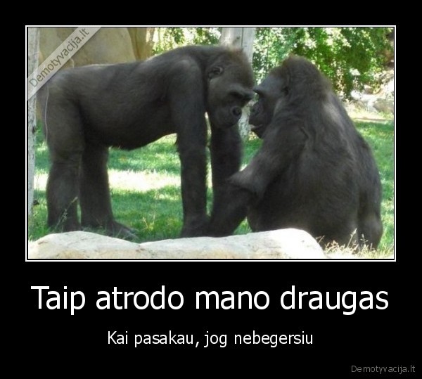 Taip atrodo mano draugas