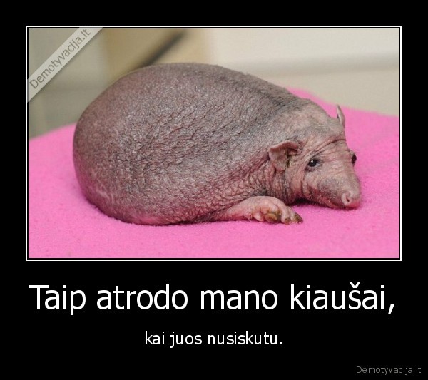 kiausai,skutimasis,skustuvas