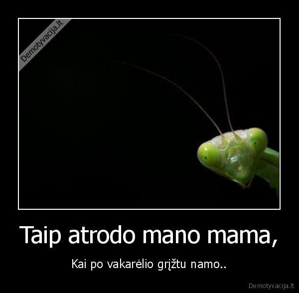 Taip atrodo mano mama,