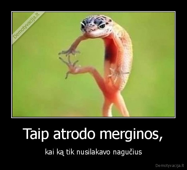 merginos,lakas,nagai