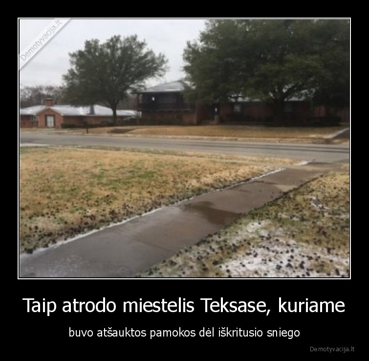 sniegas,amerika,todel,ir,vaikai,kvaili