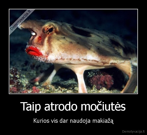 makiazas,zuvis,ryskios, lupos