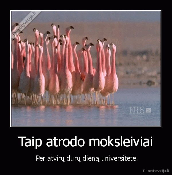 moksleiviai,pauksciai,atviru, duru, diena