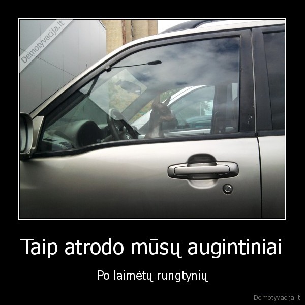 rytas, berots, apie, astuonias