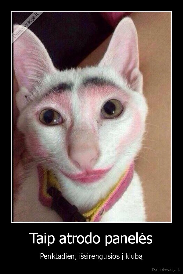 pasidaziusi, kate,isdazyta, kate,juokinga, kate