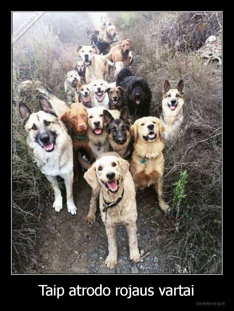 sunys,rojaus,vartai,meile