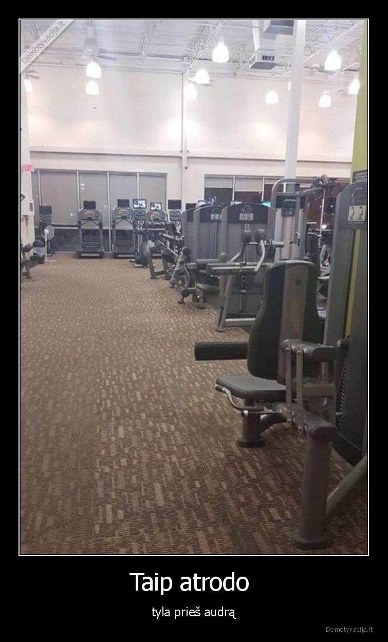 sporto,sale,tyla,audra