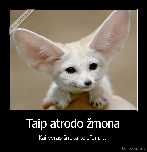 zmona,skambutis,telefonas,vyras,ausys