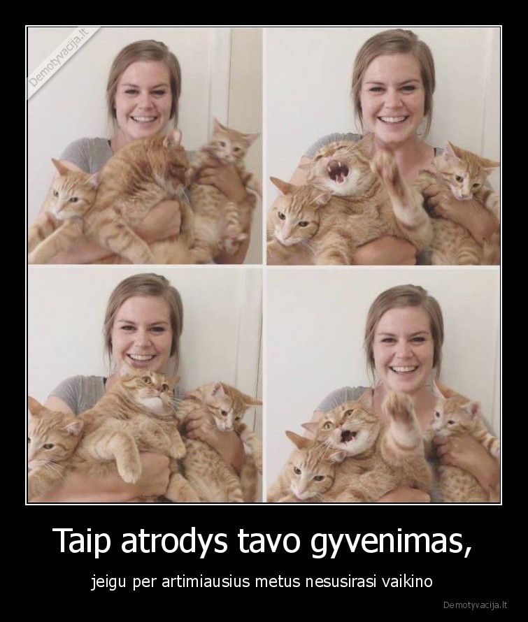 katinai,santykiai,merginos,vaikinai