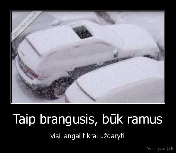 Taip brangusis, būk ramus
