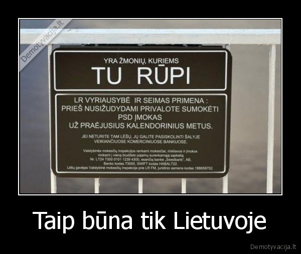 o, ir, cia, kubilius, buvo