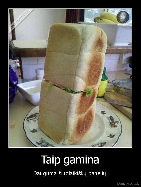 paneles,gamina,sumustekas