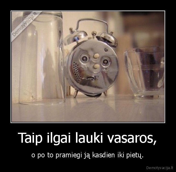 vasara,o,miegi,iki,pietu