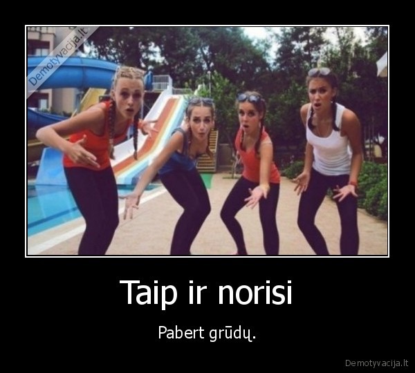 vistos,paneles,grudai