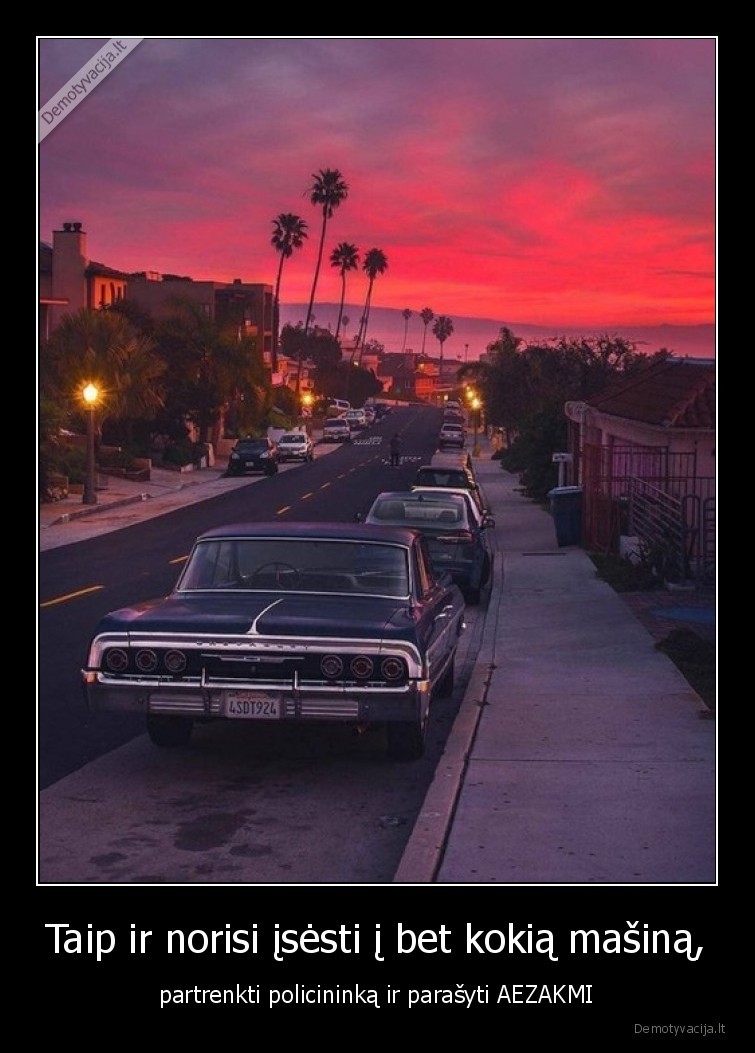 gta,vaizdas,amerika,policininkas,aezakmi