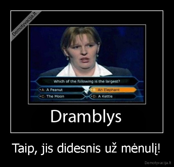 dramblys, milijonas, klausimas