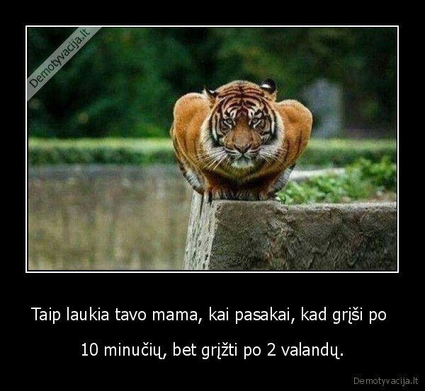 mama,tigras,pikta, mama,nu, maaam